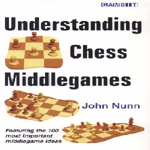 دانلود کتاب درک وسط بازی شطرنج - جان نان Understanding Chess Middlegames