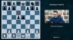گامبی فیل E4. Eephant Gambit  را در هم بکوبید........