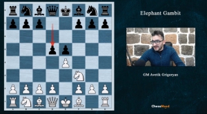 گامبی فیل E4. Eephant Gambit را در هم بکوبید........