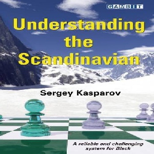 کتاب ارزشمند درک اسکاندیناوی نسخه تجدید نظرشده Understanding the Scandinavian