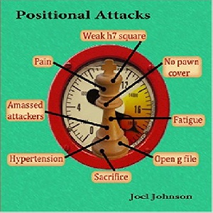 کتاب فوق العاده ارزشمندحمله های پوزیسیونی در شطرنج Positional Attacks